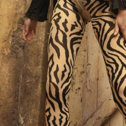 Sneaky fox zebra, Nude, 150